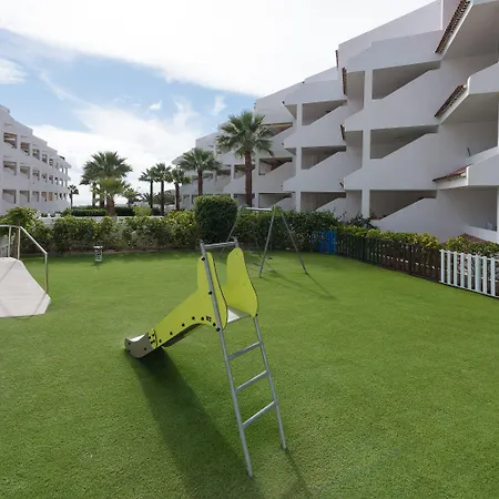 Paloma Los Cristianos (Tenerife)