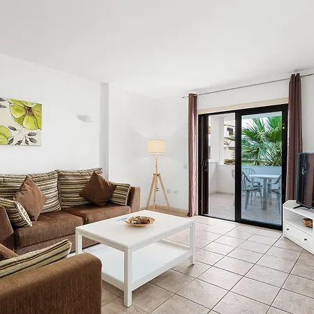 Paloma * Los Cristianos (Tenerife)