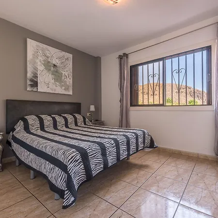 Paloma Los Cristianos (Tenerife)