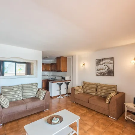 Paloma * Los Cristianos (Tenerife)