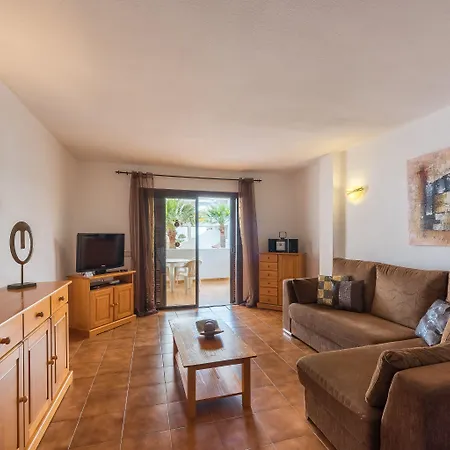 Paloma * Los Cristianos (Tenerife)