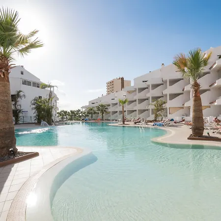 Paloma Los Cristianos (Tenerife)