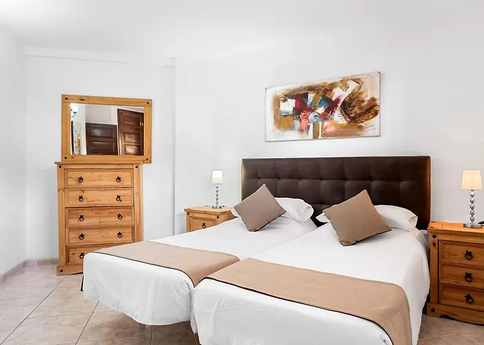 Paloma Los Cristianos (Tenerife)