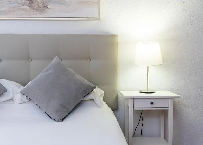 Paloma Los Cristianos (Tenerife)