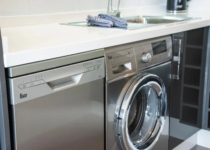 Paloma * Los Cristianos (Tenerife)