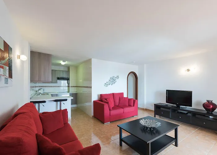 Paloma * Los Cristianos (Tenerife)