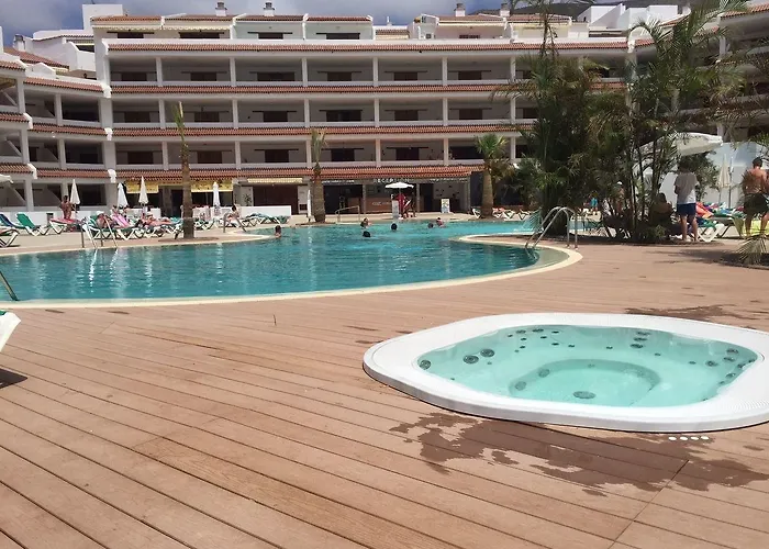 Paloma * Los Cristianos (Tenerife)