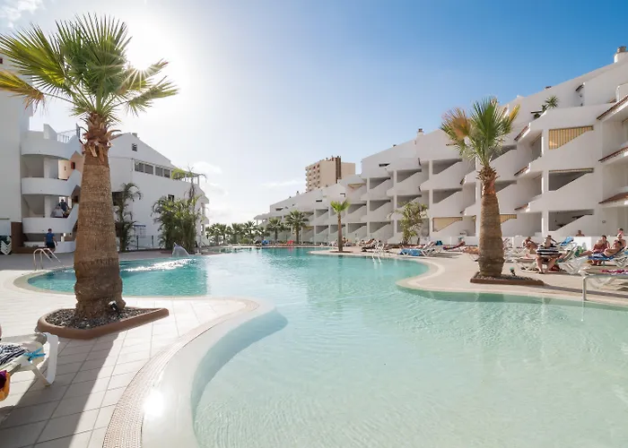 Paloma Los Cristianos (Tenerife)