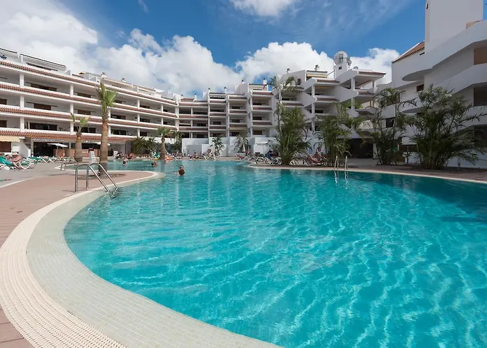 Paloma Los Cristianos (Tenerife)